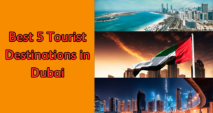 Best 5 Tourist Destinations in Dubai