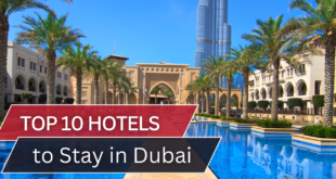 Top 10 Hotels to Stay in Dubai